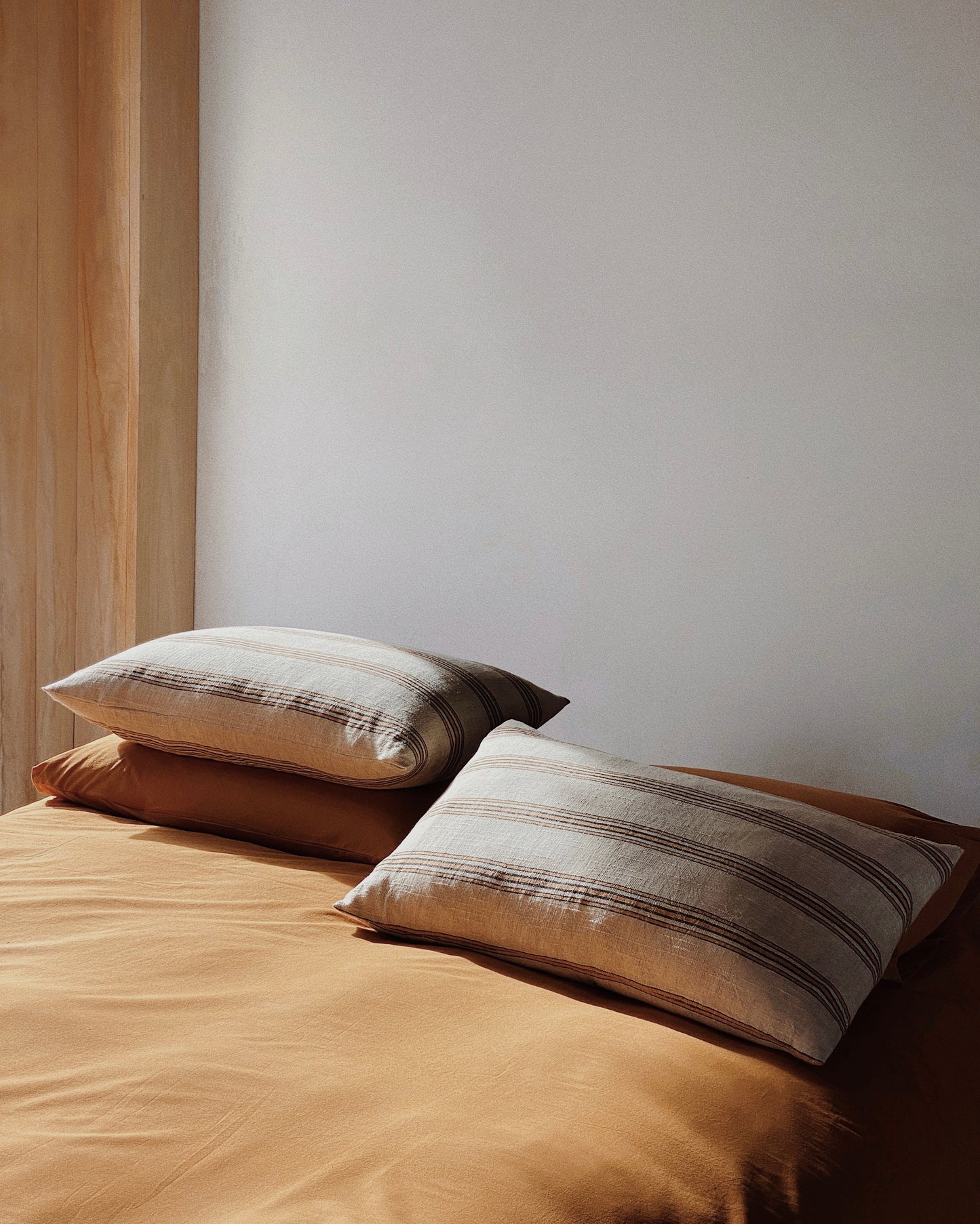 Apricot Cushion Cover