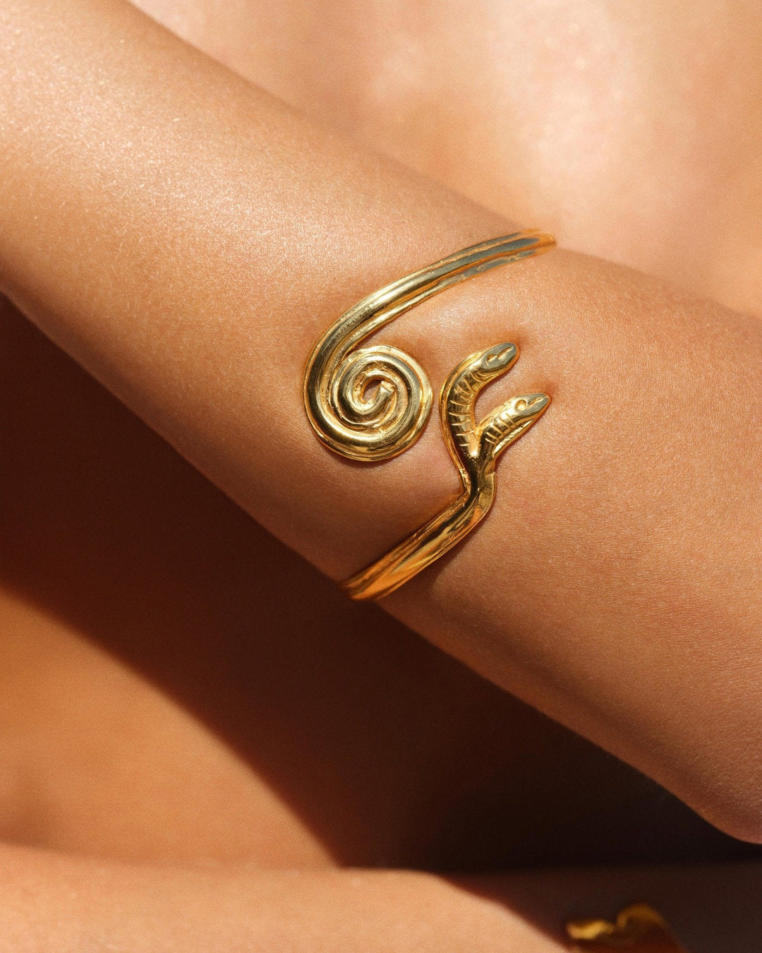 The Hydra Bangle