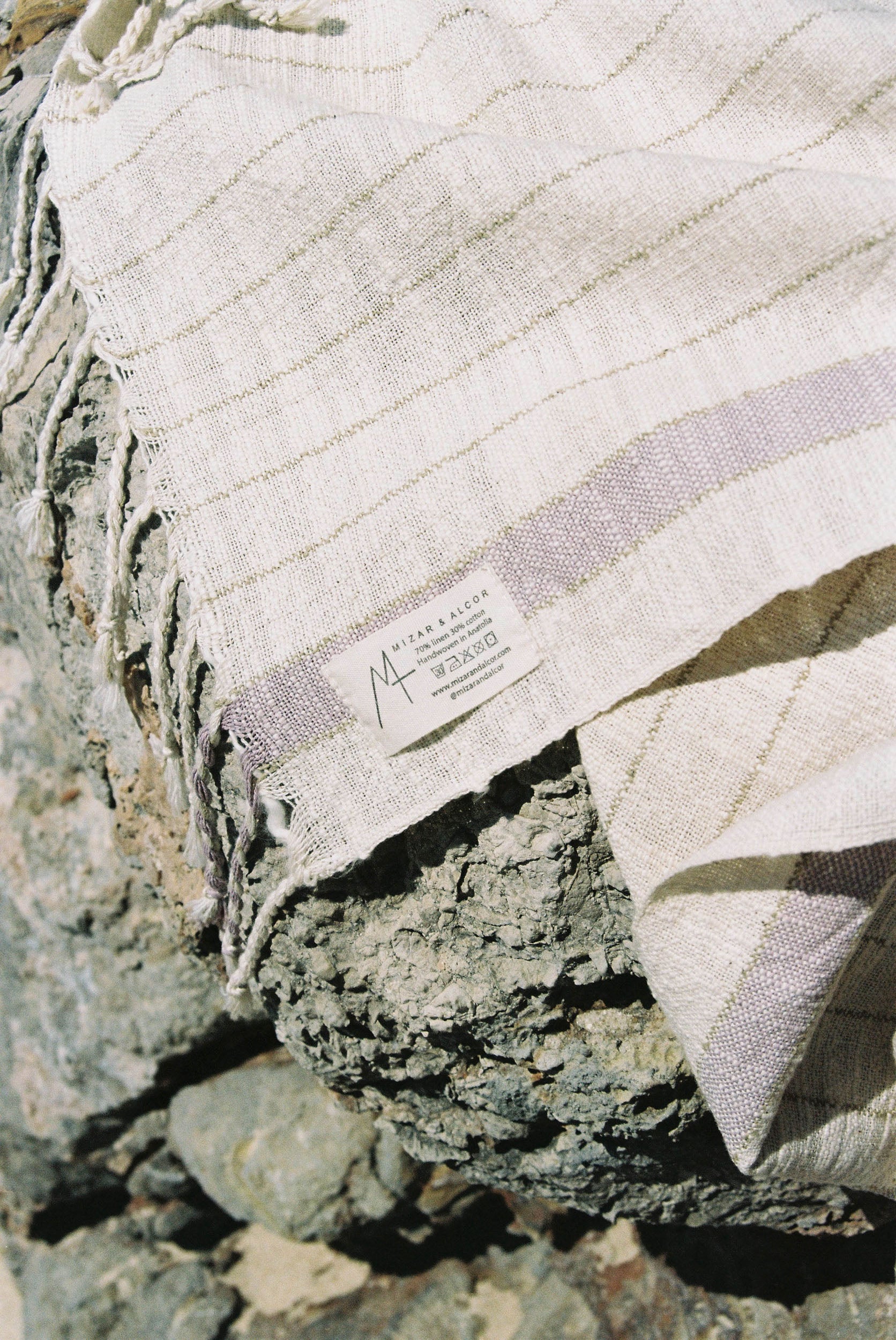 bahia lavender detail